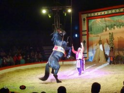  Circus YAKARI am 27.09.2024